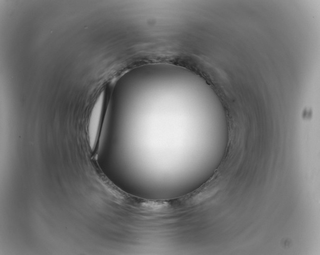 X0000091470480200709061822