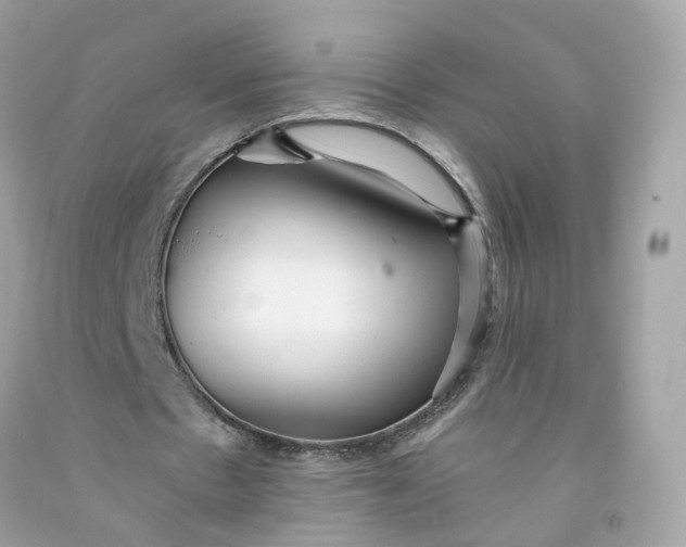 X0000091470481200709061821