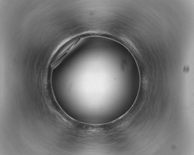 X0000091470484200709061821