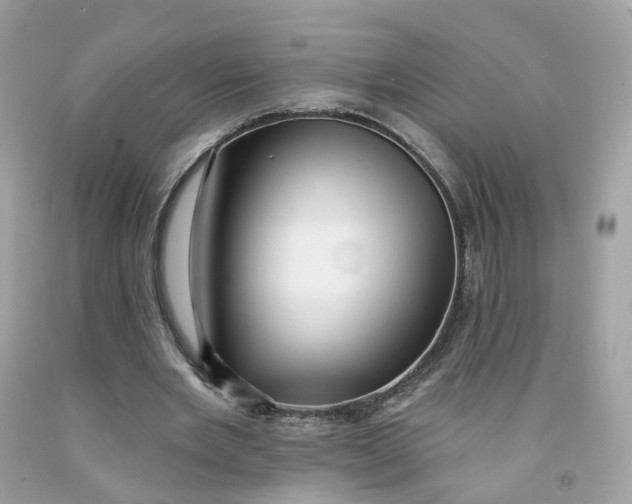 X0000091470485200709061821