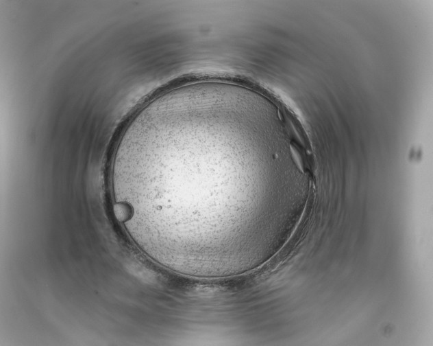 X0000091470487200709061821