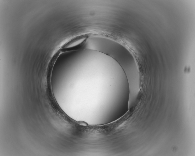 X0000091470488200709061821