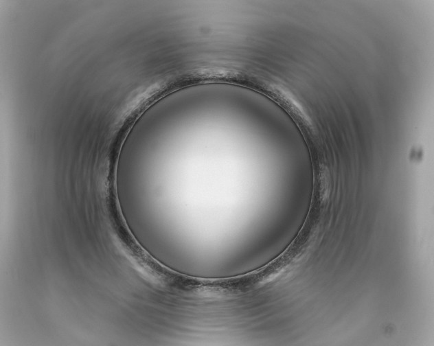 X0000091470490200709061821