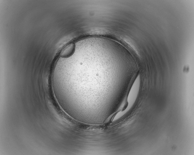 X0000091470491200709061821