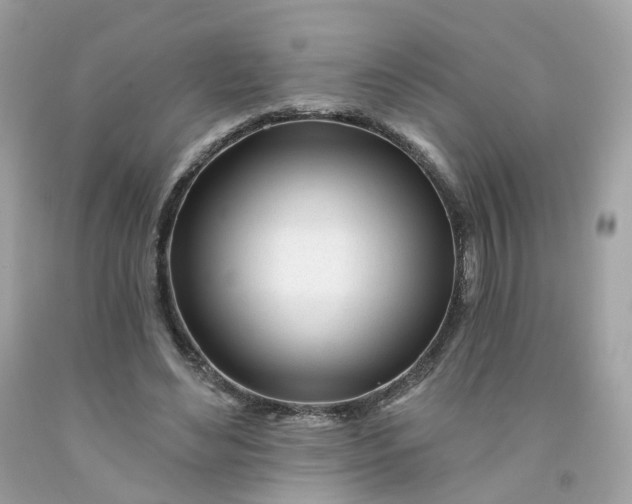 X0000091470492200709061821