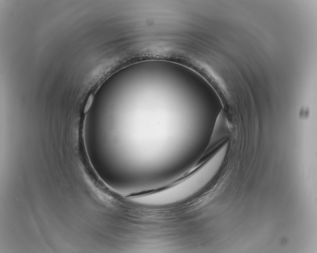 X0000091470493200709061821