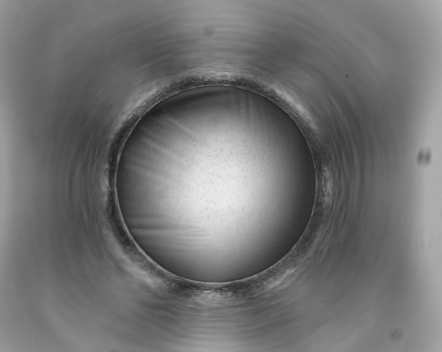 X0000091470494200709061821