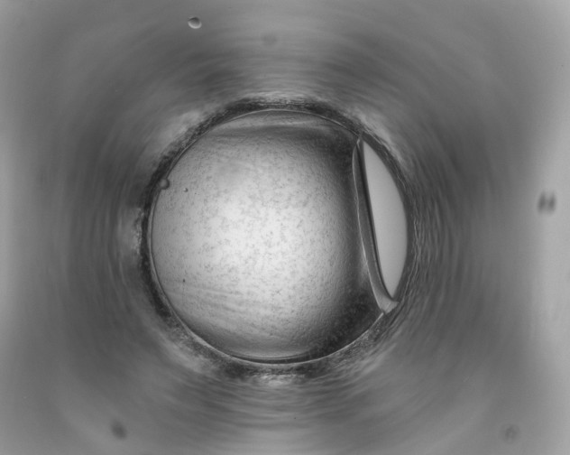 X0000091470495200709061821