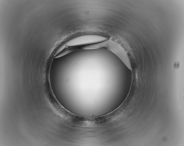 X0000091470496200709061821