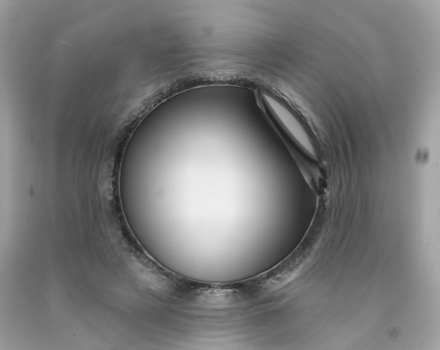 X0000091470497200709061821