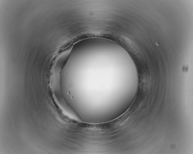 X0000091470500200709061821