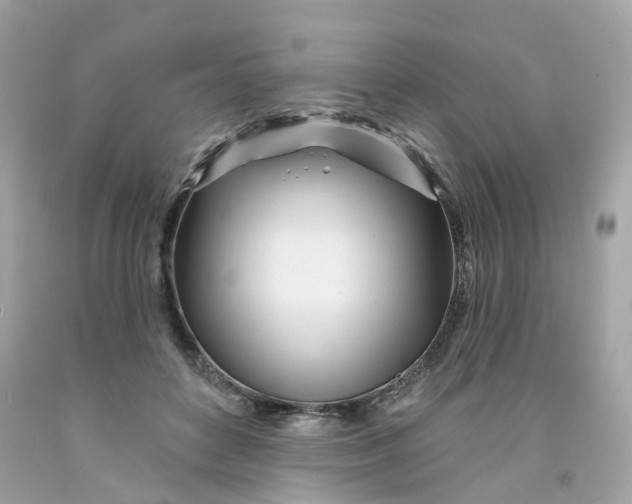 X0000091470504200709061821