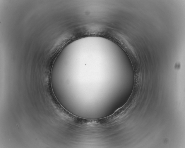 X0000091470505200709061821