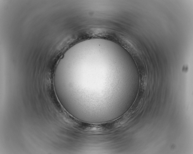 X0000091470506200709061821