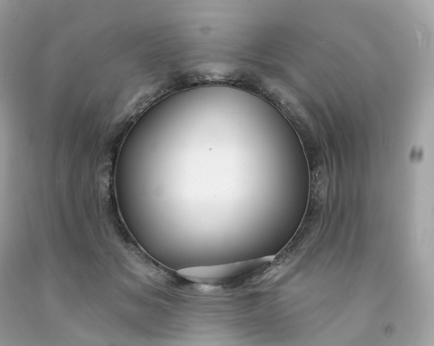 X0000091470509200709061821