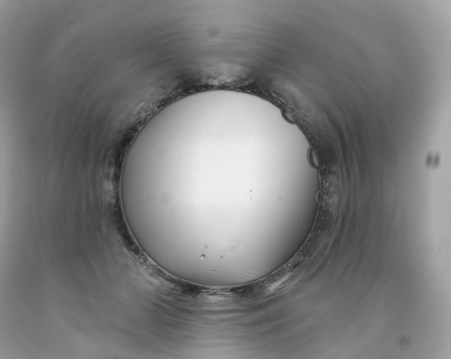 X0000091470510200709061821