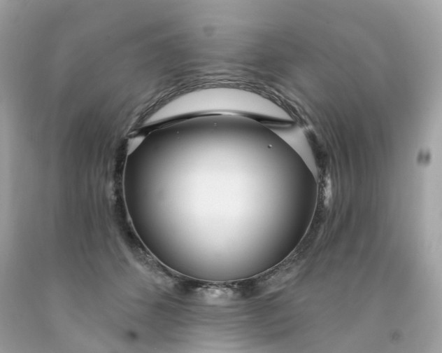 X0000091470512200709061821