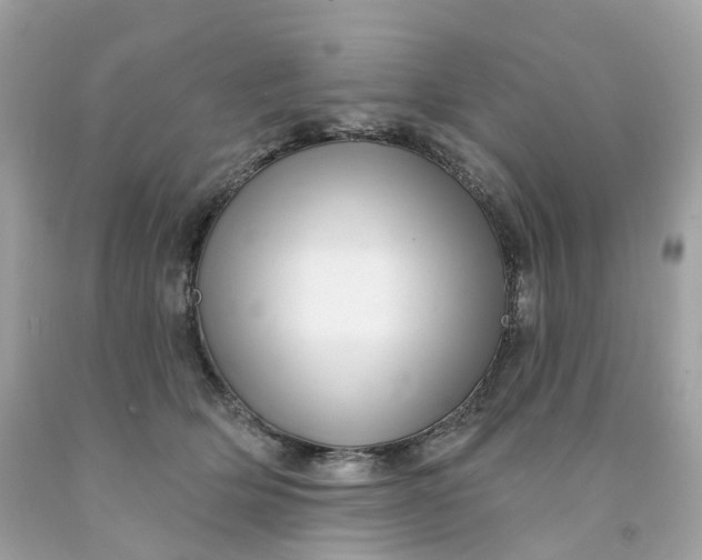 X0000091470514200709061821