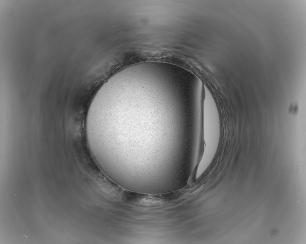 X0000091470515200709061821