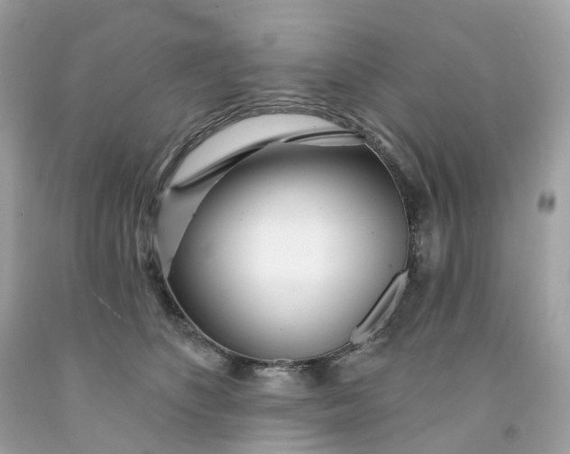 X0000091470516200709061821