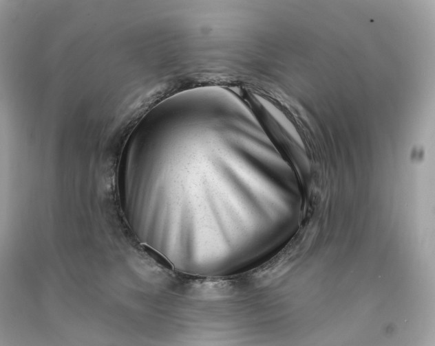 X0000091470517200709061821