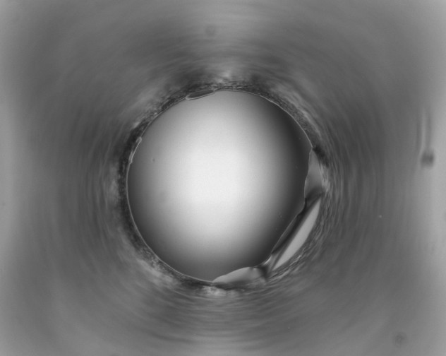 X0000091470520200709061821