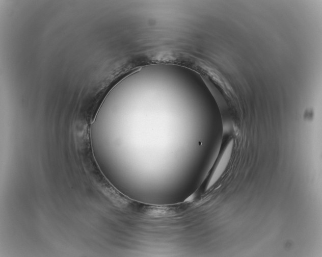 X0000091470521200709061821