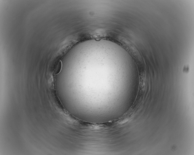 X0000091470523200709061821