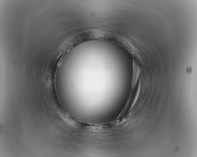 X0000091470524200709061821