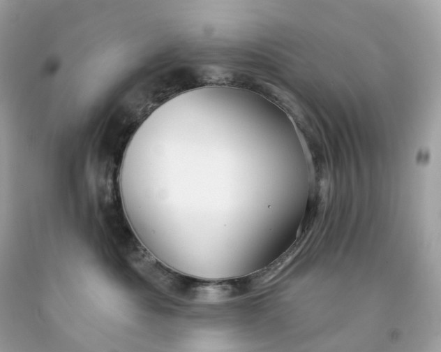 X0000091470525200709061821