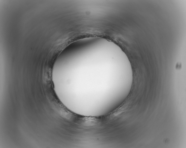 X0000091470528200709061821