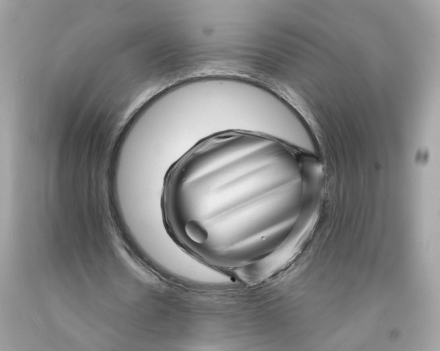 X0000091470530200709061820