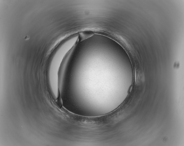 X0000091470531200709061820