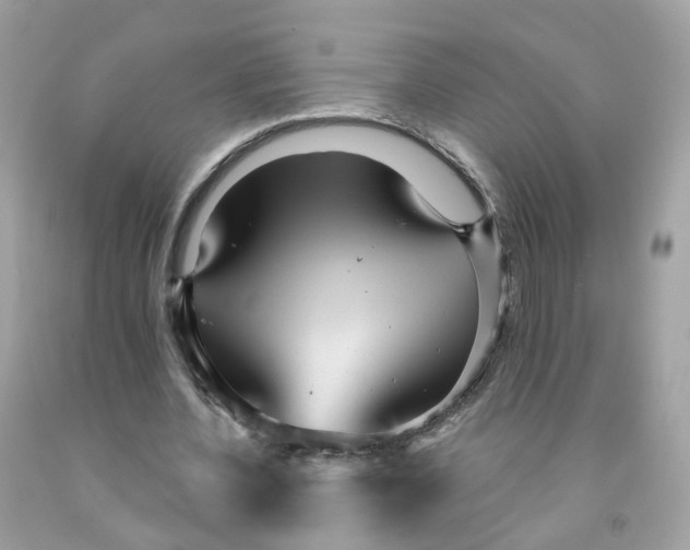 X0000091470532200709061820