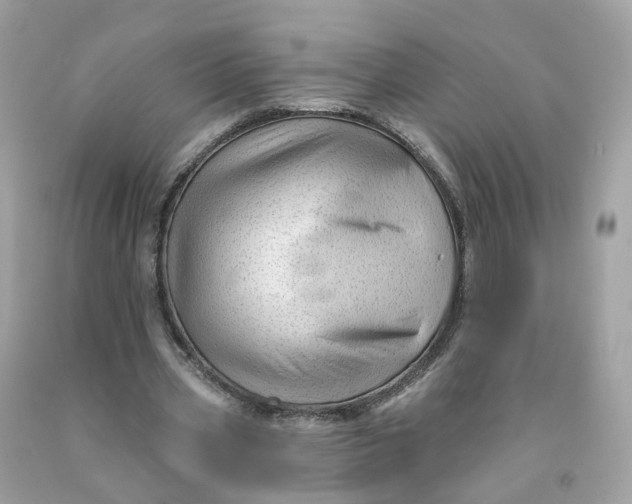 X0000091470533200709061820