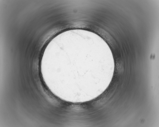 X0000091470534200709061820