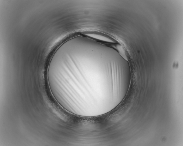 X0000091470535200709061820