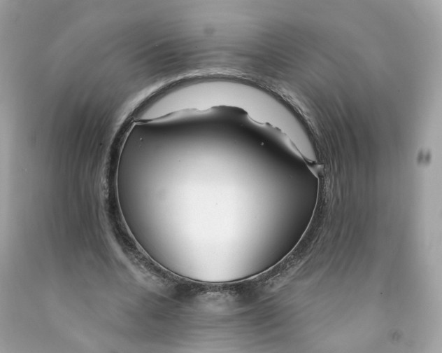 X0000091470536200709061820