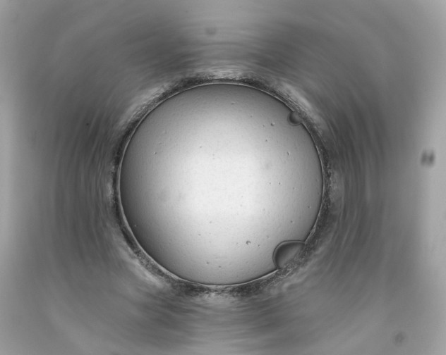 X0000091470537200709061820