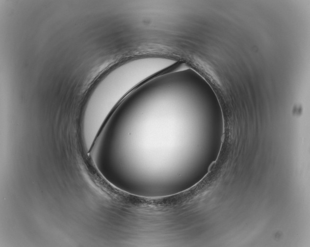 X0000091470538200709061820