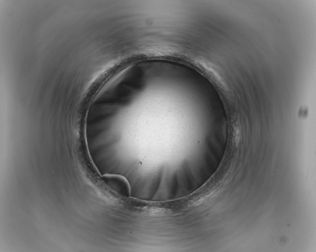 X0000091470539200709061820