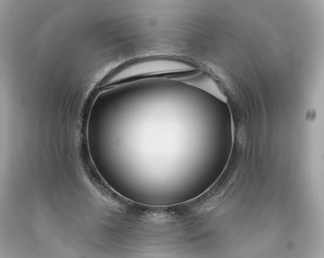 X0000091470540200709061820