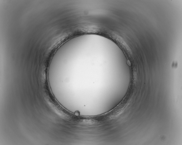 X0000091470541200709061820