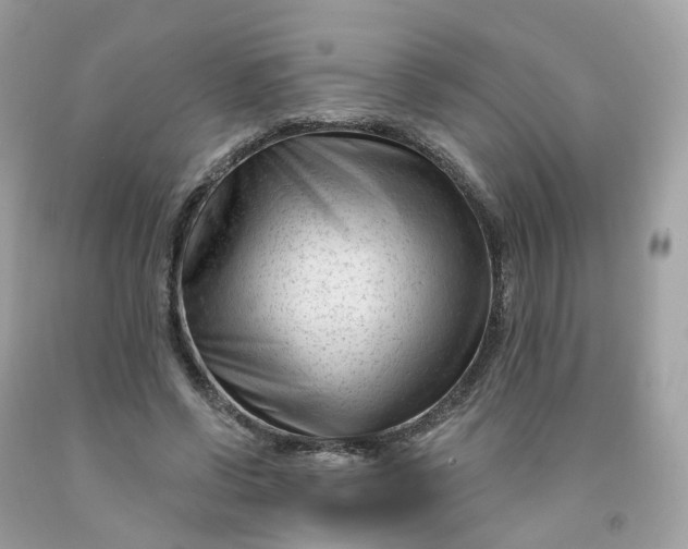 X0000091470542200709061820