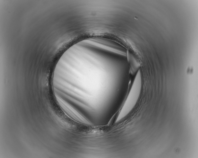 X0000091470543200709061820