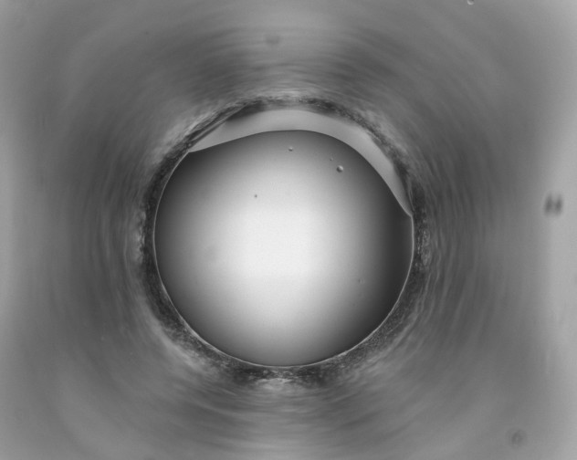 X0000091470544200709061820