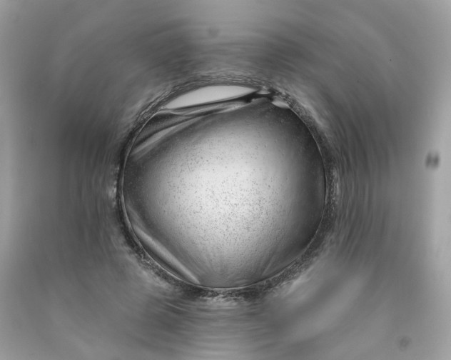 X0000091470545200709061820