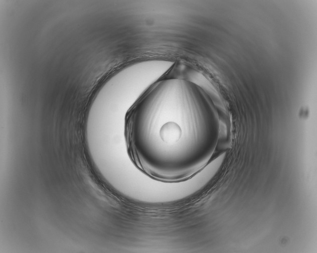 X0000091470546200709061820