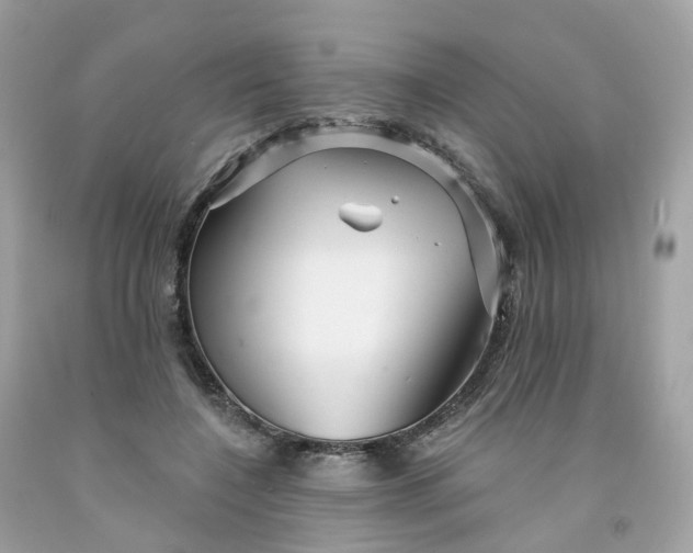 X0000091470548200709061820