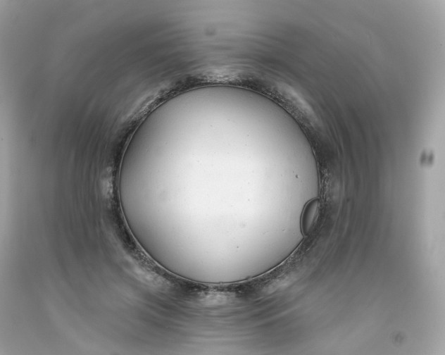 X0000091470549200709061820